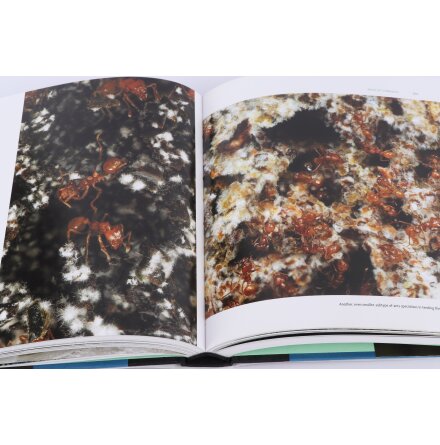 Life at the Edge of Sight - Chimileski &amp; Kolter - Eng - Samh�lle &amp; Historia