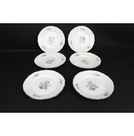 Rosenthal - Kaffeservis - 10 Koppar, 6 Sm� Kaffefat, 3 Stora Kaffefat, 1 Kaffekanna, 1 Litet Serveringsfat , 1 Stort Serveringsfat , 6 Sm� Assietter , 2 Stora Assietter