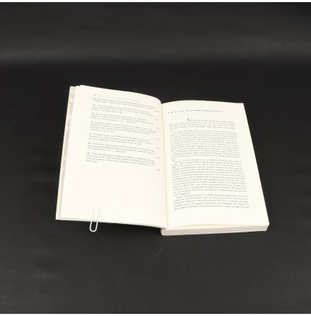 The patron state - Marla Susan Stone - Samh�lle, Historia &amp; Fakta