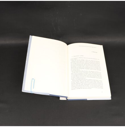 Niklas Schi�ler - Koncentrationens konst - Biografier &amp; Memoarer