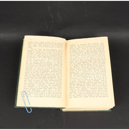 Carl von Zeipel - Carl XI, Rabenius och Hexeri-processen - Sk�nlitteratur &amp; Deckare