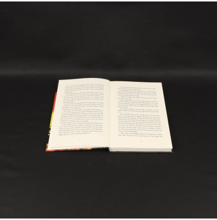 De skyldiga - Lena Ollmark - Sk�nlitteratur &amp; Deckare