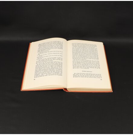 Huckleberry Finns �ventyr - Mark Twain - Barn &amp; Ungdom