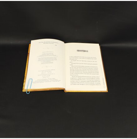 Jude Watson - The 39 clues beyond the grave - Book four - Sci-fi. fantasy &amp; �ventyr