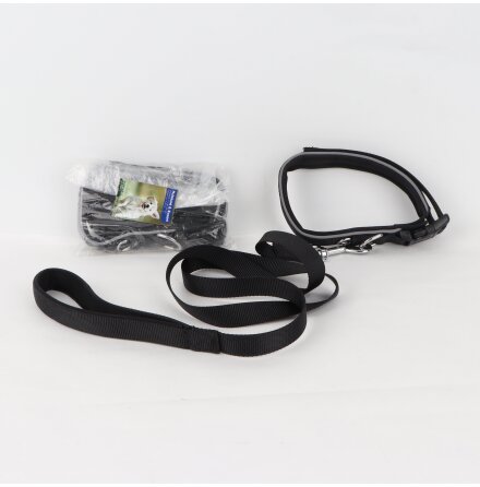Swedog - Halsband &amp; koppel med reflex