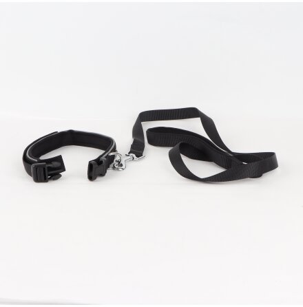 Swedog - Halsband &amp; koppel med reflex