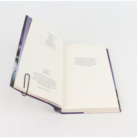 Sorge�ngel - Marianne Cedervall - Sk�nlitteratur &amp; Deckare