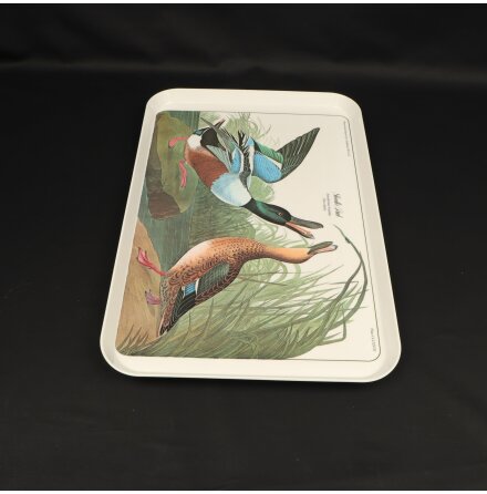 Providence R.I - Design Imports LTD - Bricka