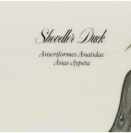 Providence R.I - Design Imports LTD - Bricka