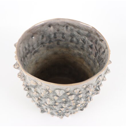 Blomkruka med knottrigt m�nster 