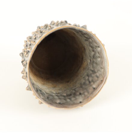 Blomkruka med knottrigt m�nster 