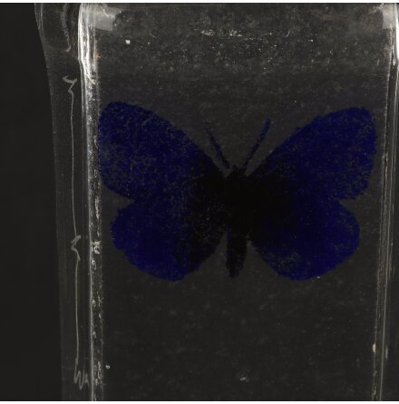 Inredningsstaty med bl� fj�ril i glas