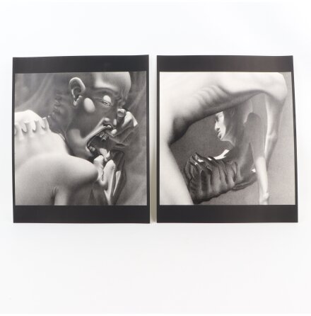 Daniel Ouellette - 14st kopior av litografier - 37x30cm - 1995 - Samh�lle &amp; Historia 