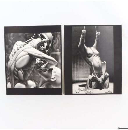 Daniel Ouellette - 14st kopior av litografier - 37x30cm - 1995 - Samh�lle &amp; Historia 