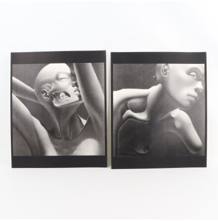 Daniel Ouellette - 14st kopior av litografier - 37x30cm - 1995 - Samh�lle &amp; Historia 