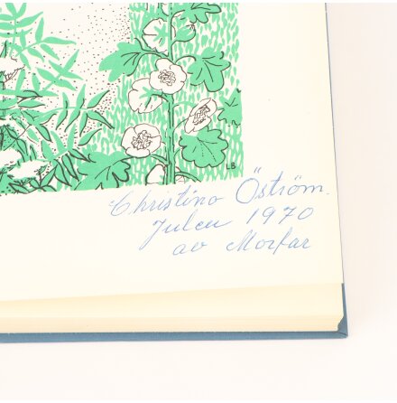 Min skattkammare del 7 - Annie L�fstedt &amp; Barbro Svinhufvud - Barn &amp; Ungdomsb�cker