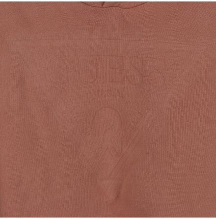Guess - Vivid Peach - Hoodie med tryck - stl. M