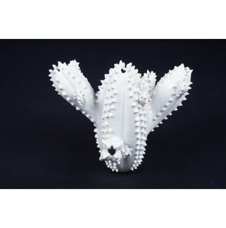 Vit kaktusvas i keramik 