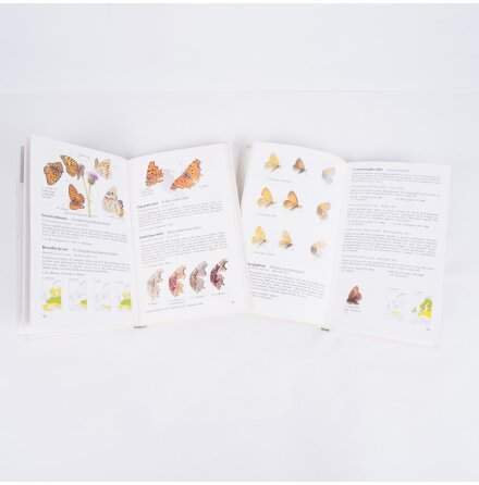 Bokpaket - Fj�rilar i naturen - Bj�rn Dal - Del 1 &amp; 2 