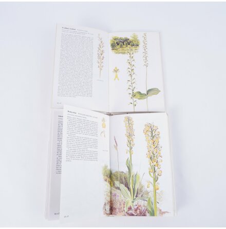 Bokpaket - Orkider - Bo Mossberg/Sven Nilsson - 2st - Atlas, Djur, Natur &amp; Resor 