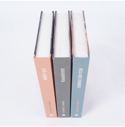 Bokpaket - Rigmor Tjerngren - Trilogin: St� i l�gor, Askkroppen, Resa med demoner